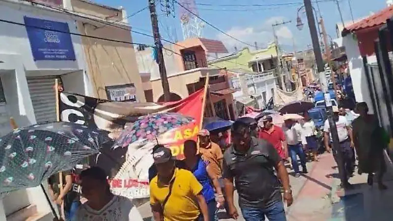 organización